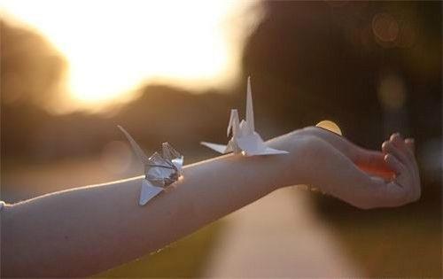 小学生用比比皆是造句大全