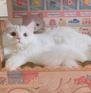 ​川流不息造句 川流不息的意思 川流不息的近义词