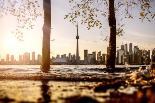 龙马精神的意思和造句 用龙马精神造句大全