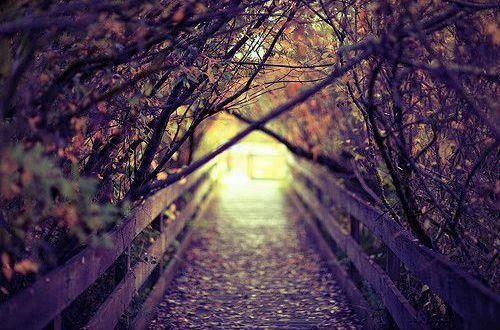 随声附和造句 随声附和的意思和读音