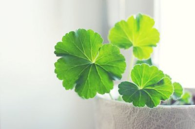 ​困境励志名言131句