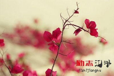 ​有关理想的经典句子名言警句大全