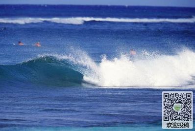 海的优美现代诗句 求关于大海的现代诗。