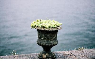 女人励志名言短句霸气