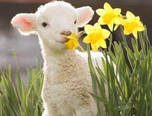 爱情与金钱的名言