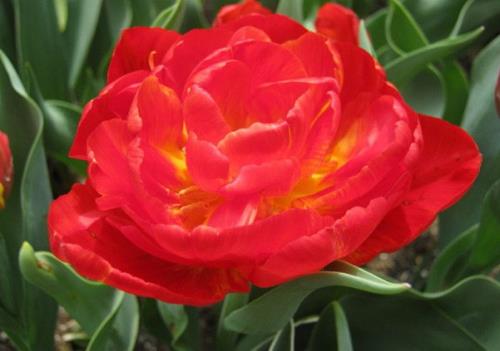 心情不好的话发朋友圈