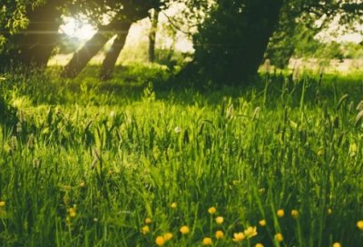 ​余秀华 诗70句