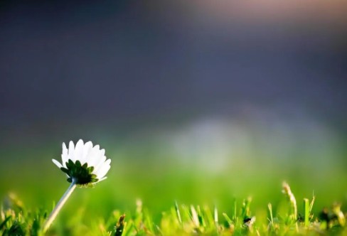 1710196895427865.png image.png