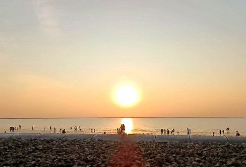 1710209067292314.png image.png