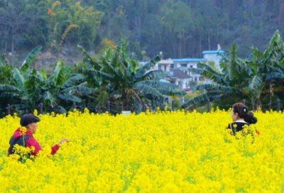 ​学习格言警句