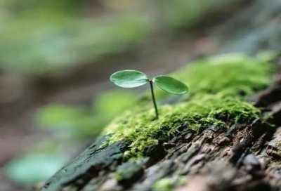 ​关于鼓励的名言