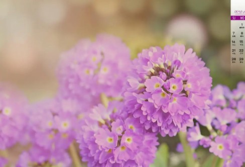 1710221239375796.png image.png