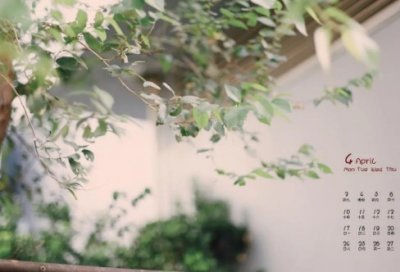 ​有关历史的名言