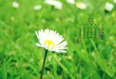 1710221739135253.png image.png