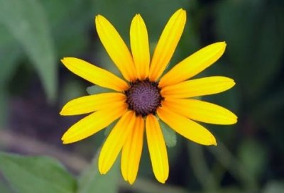 ​ERP实训报告心得