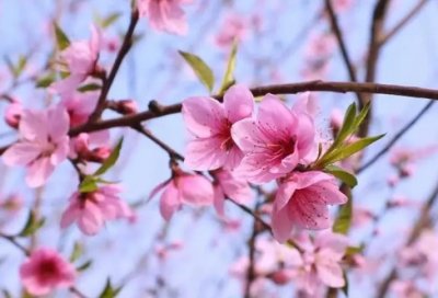 ​安全生产标准化自评报告