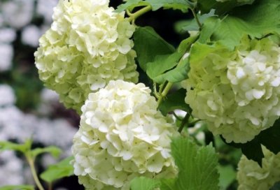 ​办公室文员实习报告