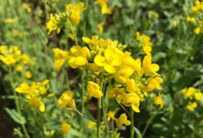 ​财务管理的实习报告