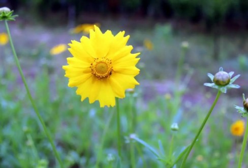 1710940111766137.png image.png