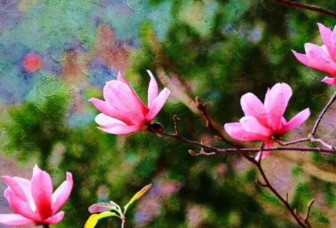 1710939607578734.png image.png