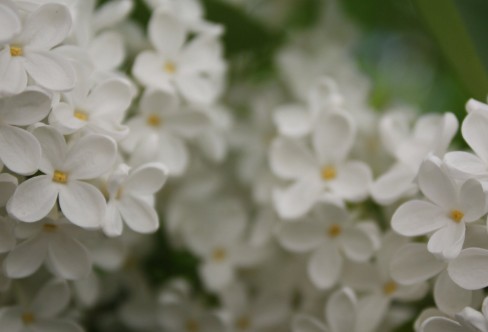 1710932708798540.png image.png