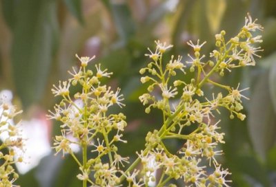 ​辞职报告怎么写