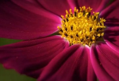 ​大学生实习报告