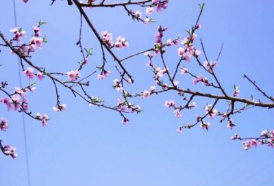 ​大学生暑假实习报告