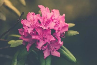 ​思想作风建设自查报告