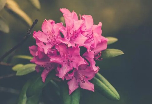 1710940783774787.png image.png