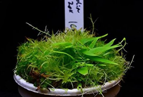 1710918066363360.png image.png