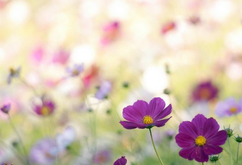 1710928501121246.png image.png