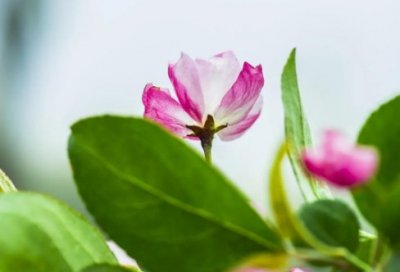 ​新任幼儿园园长述职报告