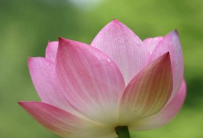 ​学习考察报告