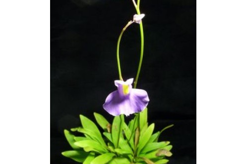 1710918234127021.png image.png