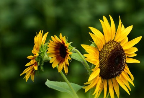 1710928164746859.png image.png