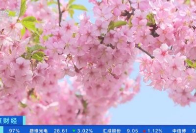 ​药店自查整改报告