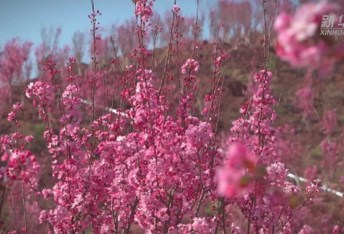 1710924967925398.png image.png