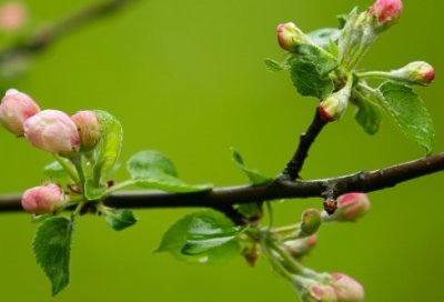 ​银行客户经理述职报告