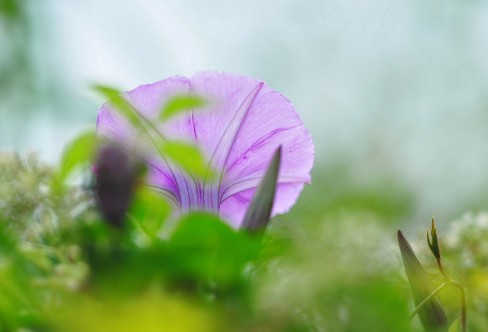 1710927659420678.png image.png