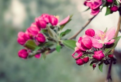 ​辅导员个人述职报告