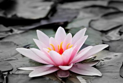 ​高考调研报告