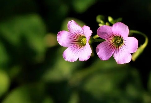 1710938429131466.png image.png