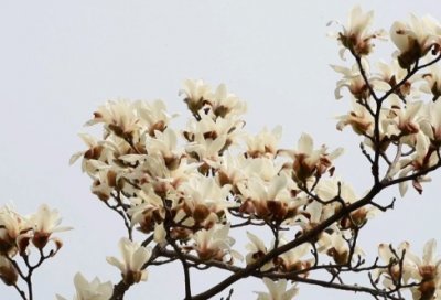 ​个人自评报告