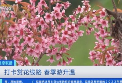 ​公司业务员辞职报告