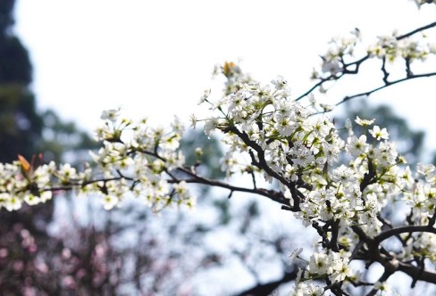 1710920086573570.png image.png