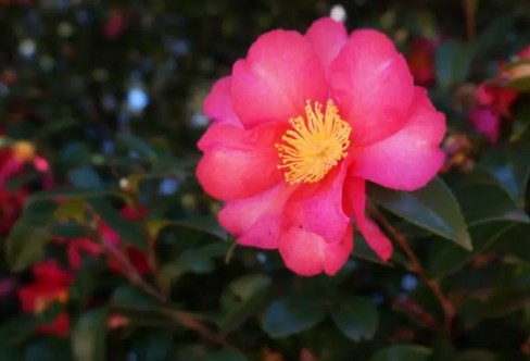 1710939775116474.png image.png