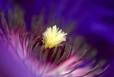 ​急辞辞职报告