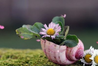 ​简单个人原因辞职报告