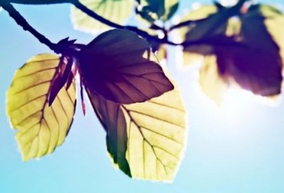 ​建材市场调研报告